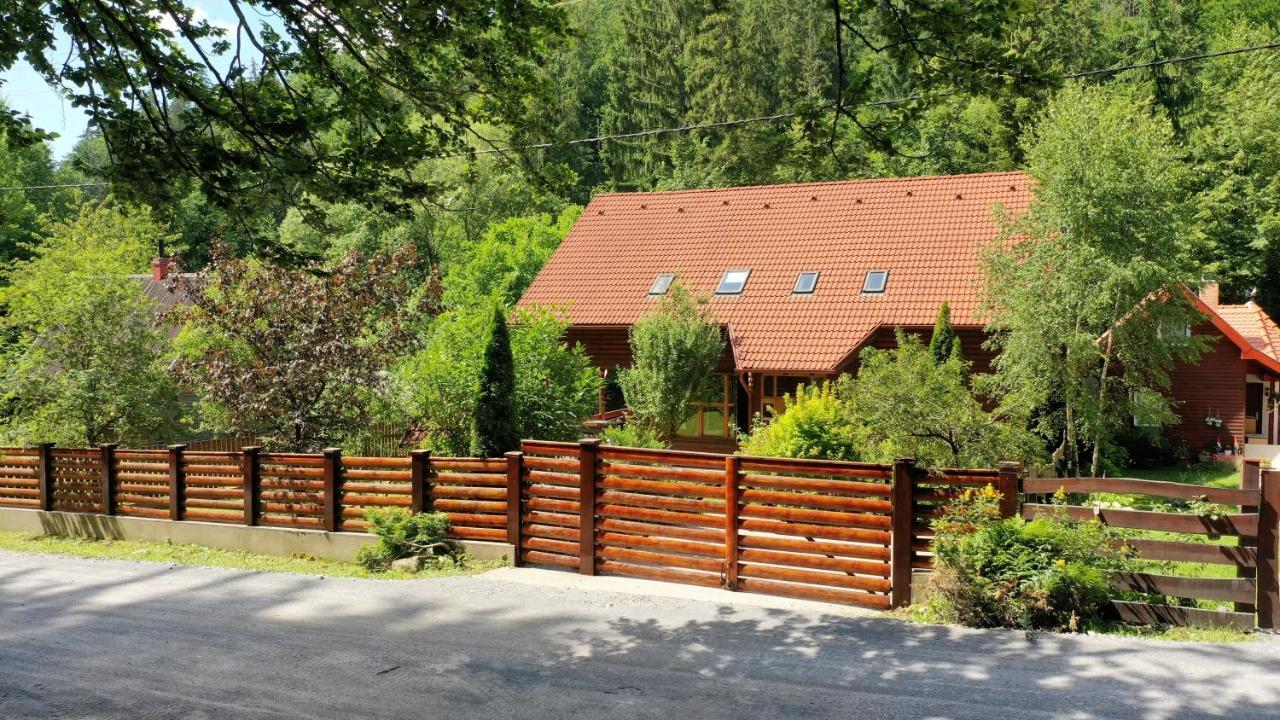 Villa Platan Vendeghaz Izvoare  Exterior foto